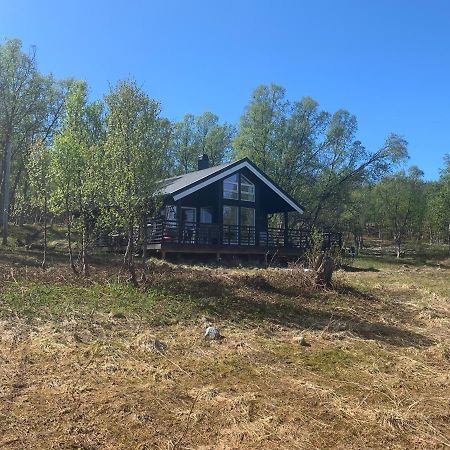 Vila Aurora Woods Skjervoy Exteriér fotografie