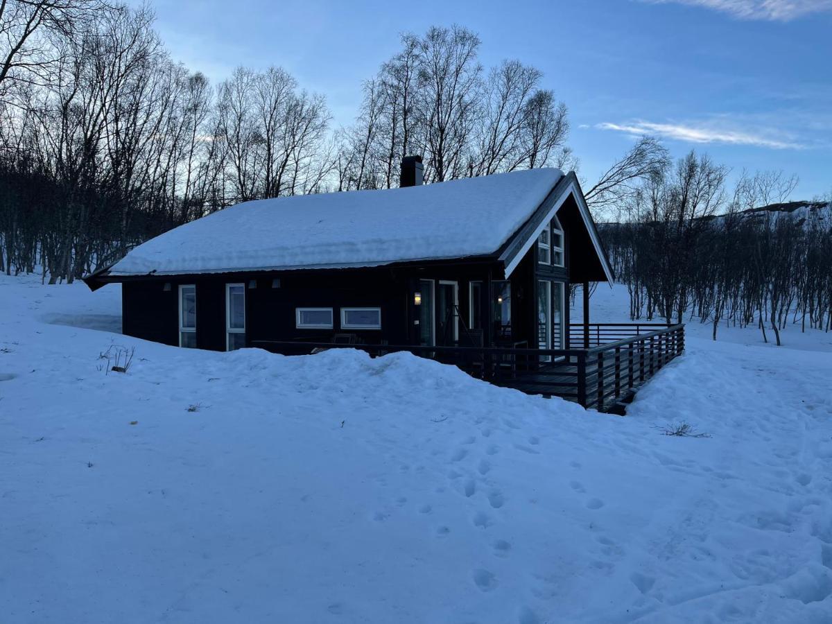 Vila Aurora Woods Skjervoy Exteriér fotografie