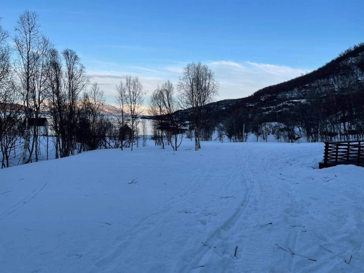 Vila Aurora Woods Skjervoy Exteriér fotografie