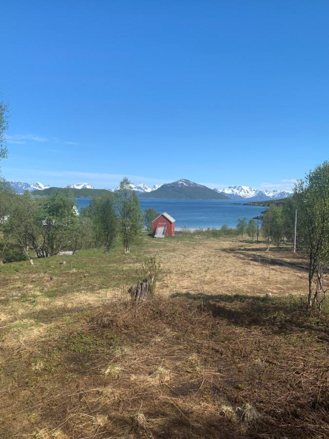 Vila Aurora Woods Skjervoy Exteriér fotografie